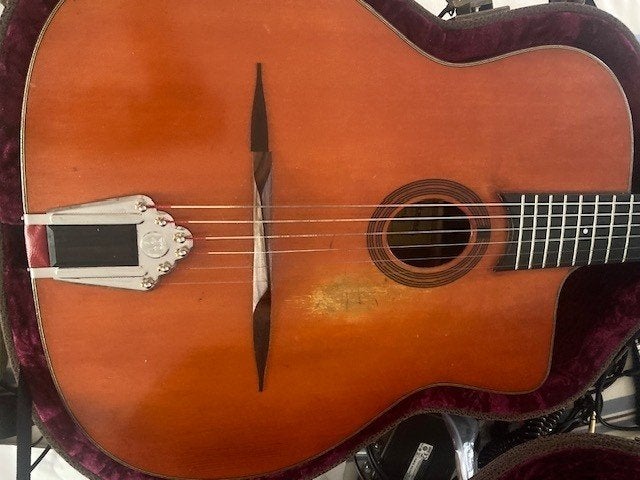 Eastman DM2-V Gipsy Jazz gitaar, Ophalen of Verzenden, Zo goed als nieuw, Overige typen