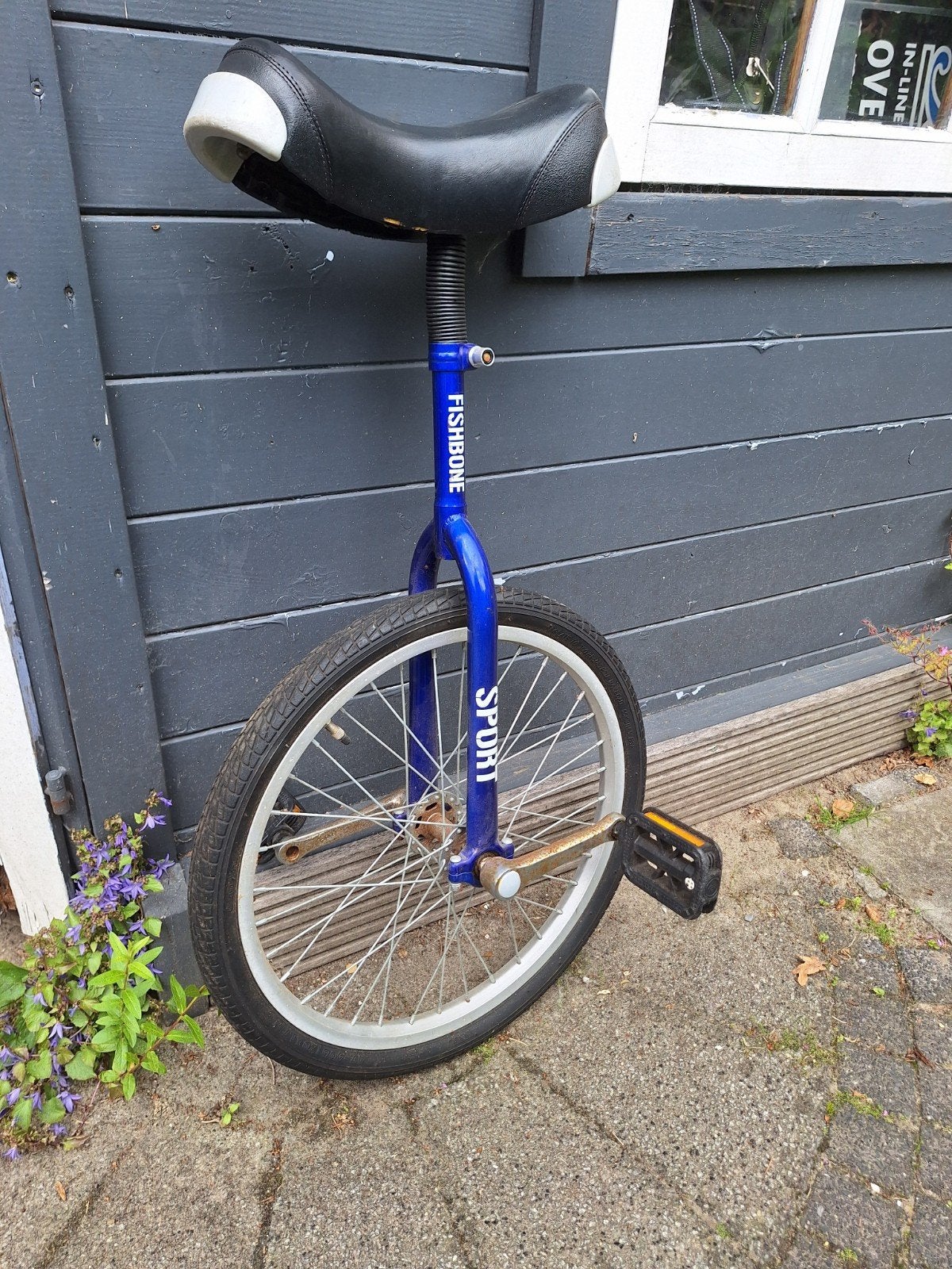 Fishbone Sport Eenwieler - Blauw voor kinderen, Fietsen en Brommers, Fietsen | Eenwielers, Ophalen, Gebruikt