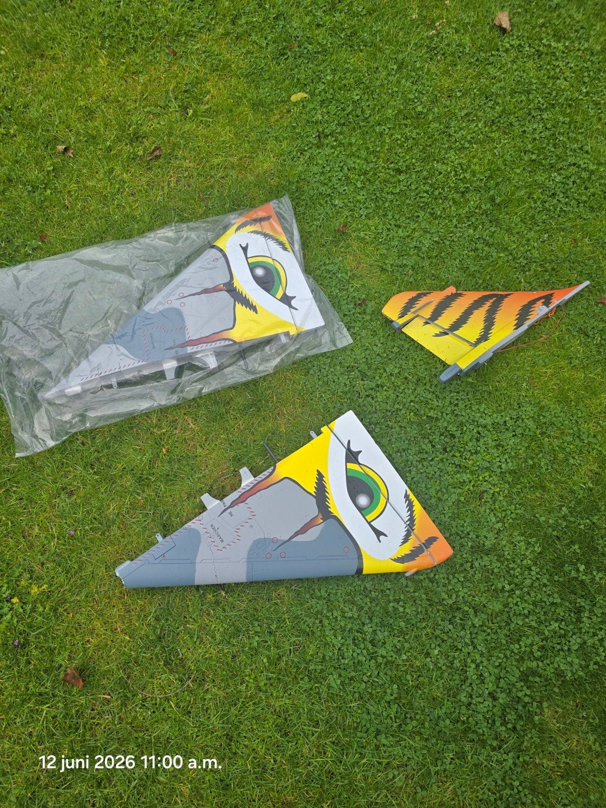 Vleugels Freewing Mirage t.e.a.b, Ophalen of Verzenden, Zo goed als nieuw, 1:72 tot 1:144, Overige merken