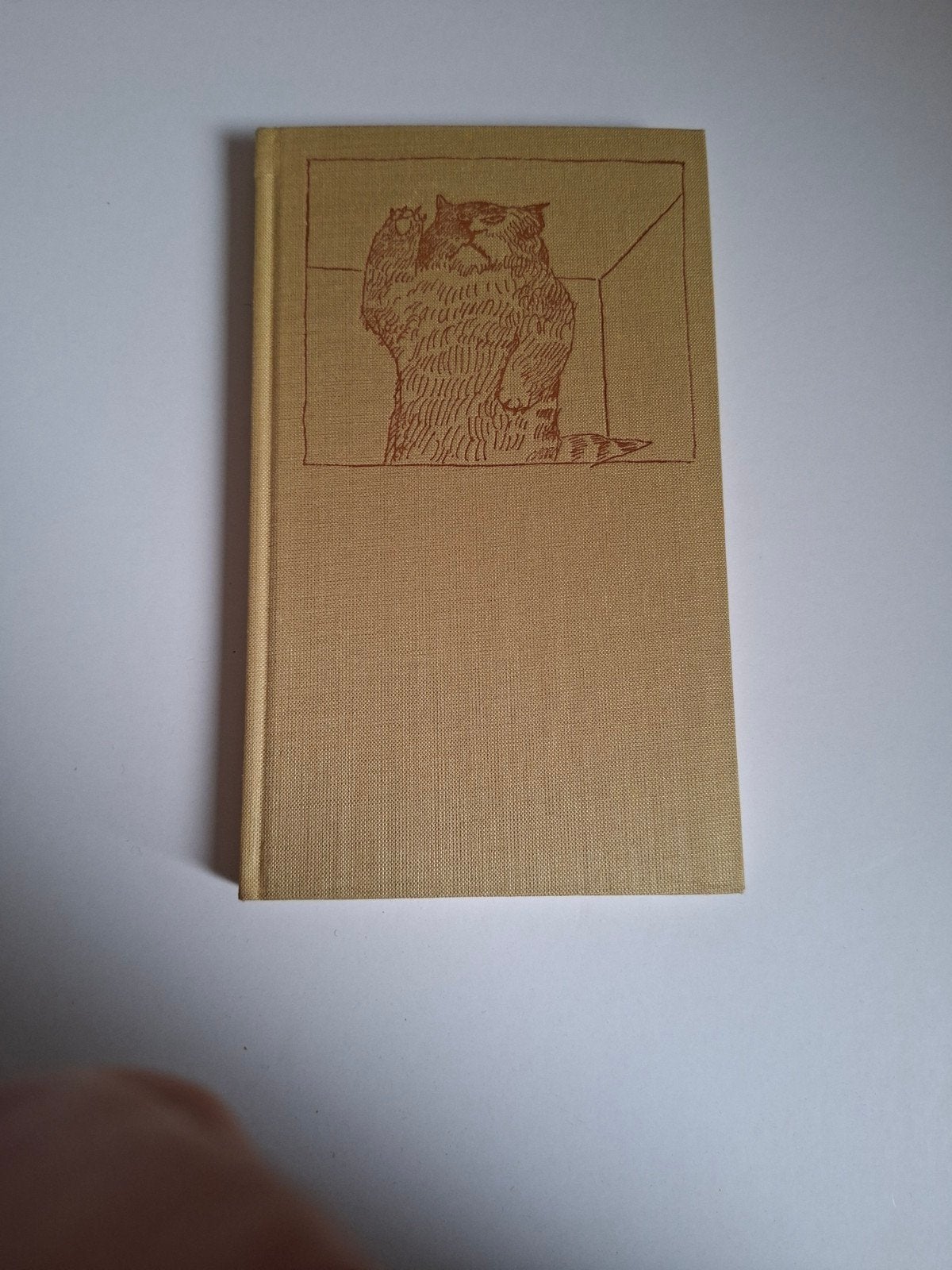 Barioni en Peter - Simon Vestdijk (1974), Ophalen of Verzenden, Zo goed als nieuw, Simon Vestdijk, Nederland
