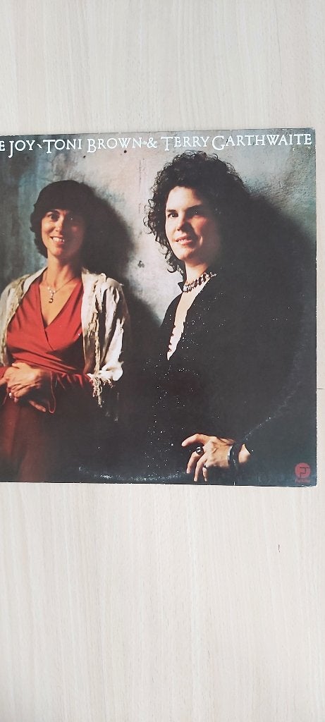 Tony Brown & Terry Garthwaite The Joy LP(USA) Joy of Cooking, LP, Gebruikt, Ophalen of Verzenden, 12 inch