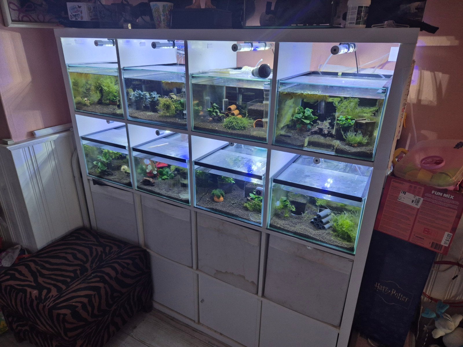 kallax aquariums tekoop, Dieren en Toebehoren, Ophalen, Gebruikt