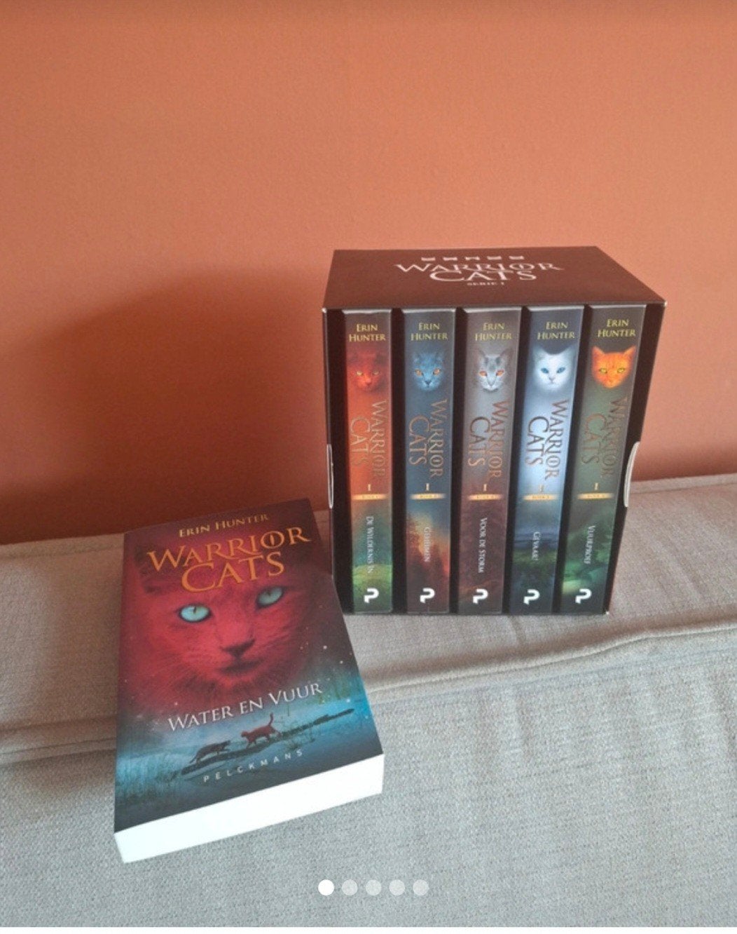 Warrior Cats Serie 1 Boekenset - Erin Hunter, Ophalen of Verzenden, Zo goed als nieuw