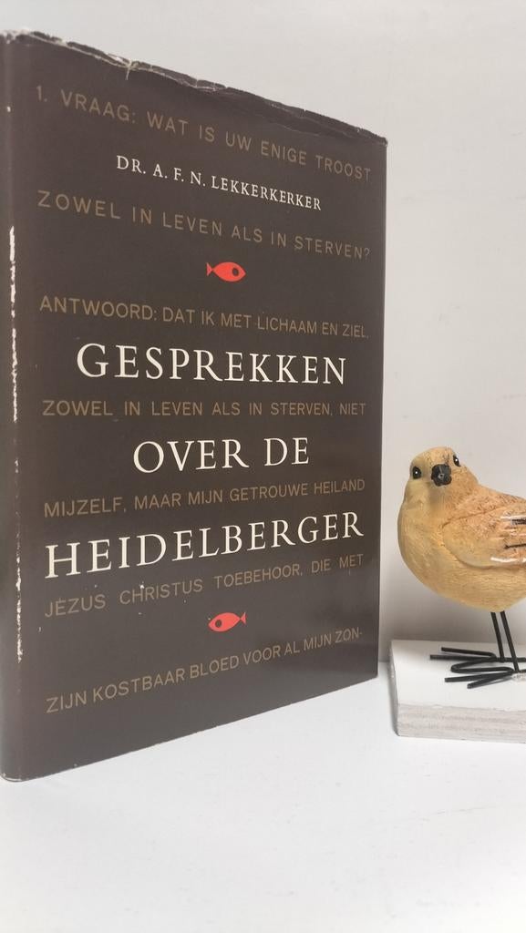 Lekkerkerker, Dr. A.F.N.; Gesprekken over de Heidelberger, Ophalen of Verzenden, Gelezen, Christendom | Protestants