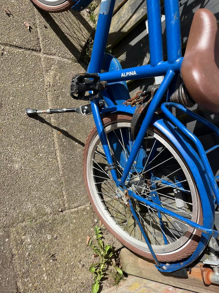 Alpina Cargo kinderfiets en mountainbike, Ophalen, Gebruikt, 20 inch of meer