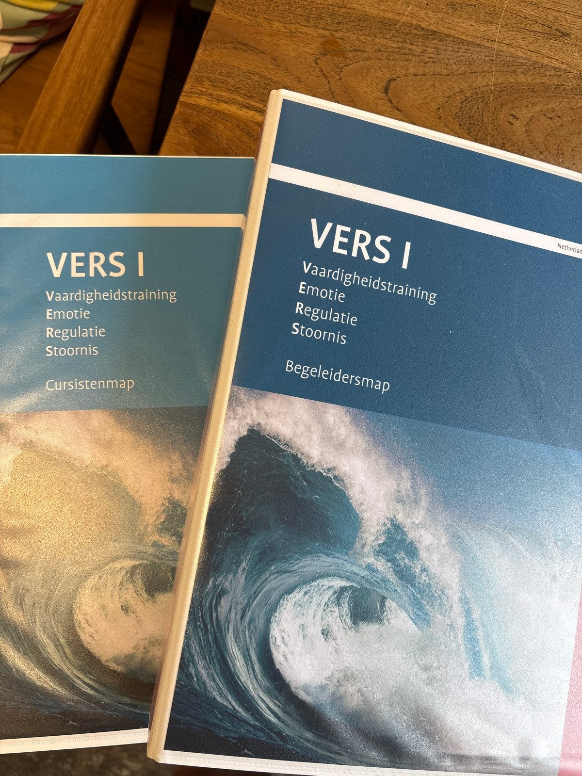 VERS I Vaardigheidstraining Emotie Regulatie Stoornis, Ophalen of Verzenden, Gamma, Nieuw, Niet van toepassing
