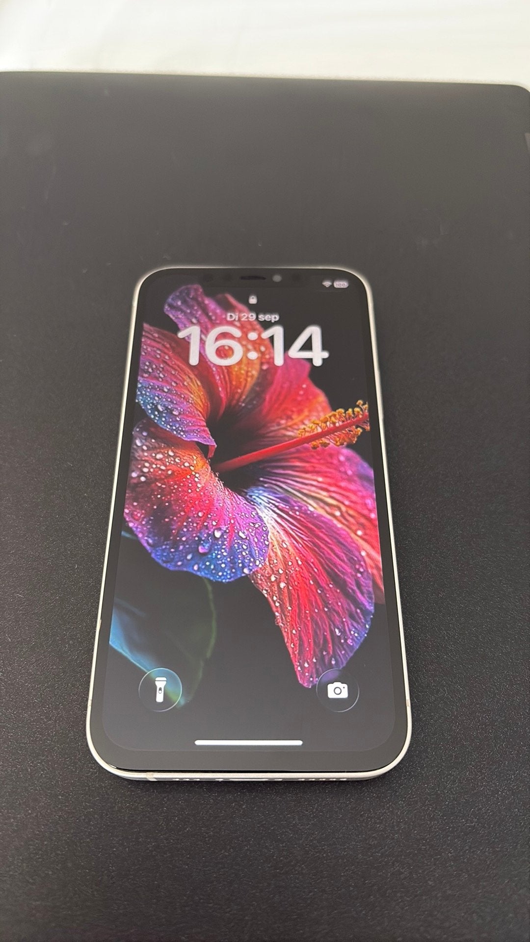 Foto 3 van Iphone 12 100%batterij