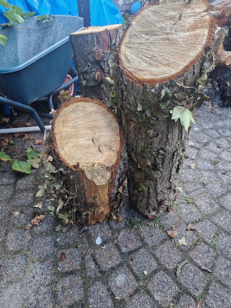 Haardhout, Tuin en Terras, Haardhout, Minder dan 3 m³, Ophalen