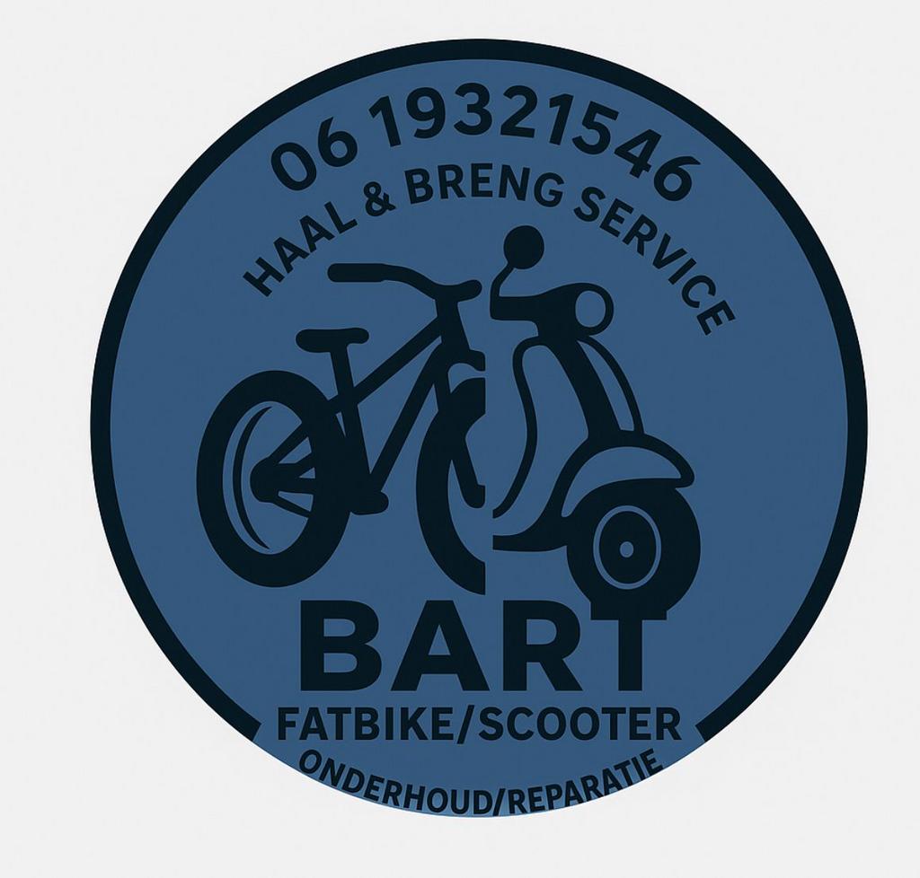Fatbike/scooter service, Ophalen of Verzenden, Gebruikt, Overige typen