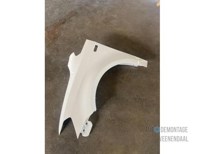 Scherm links-voor van een Volkswagen Caddy (LB9A), -, Volkswagen, -, Nieuw