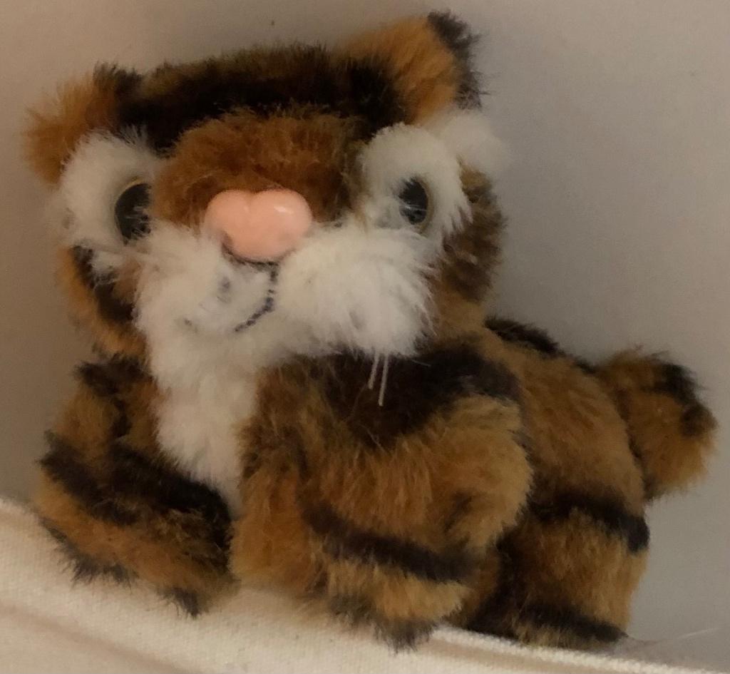 Nieuw klein tijgertje (knuffel), Kinderen en Baby's, Speelgoed | Knuffels en Pluche, Ophalen, Nieuw, Overige typen