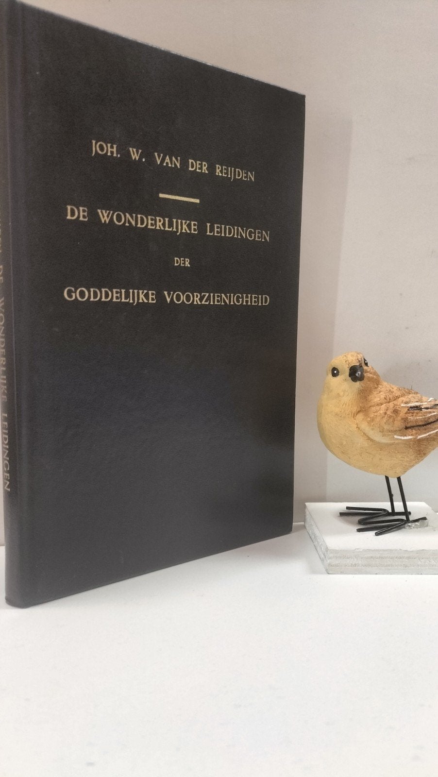Reijden, Joh. W. van der; De wonderlijke leidingen der, Boeken, Ophalen of Verzenden, Gelezen, Christendom | Protestants