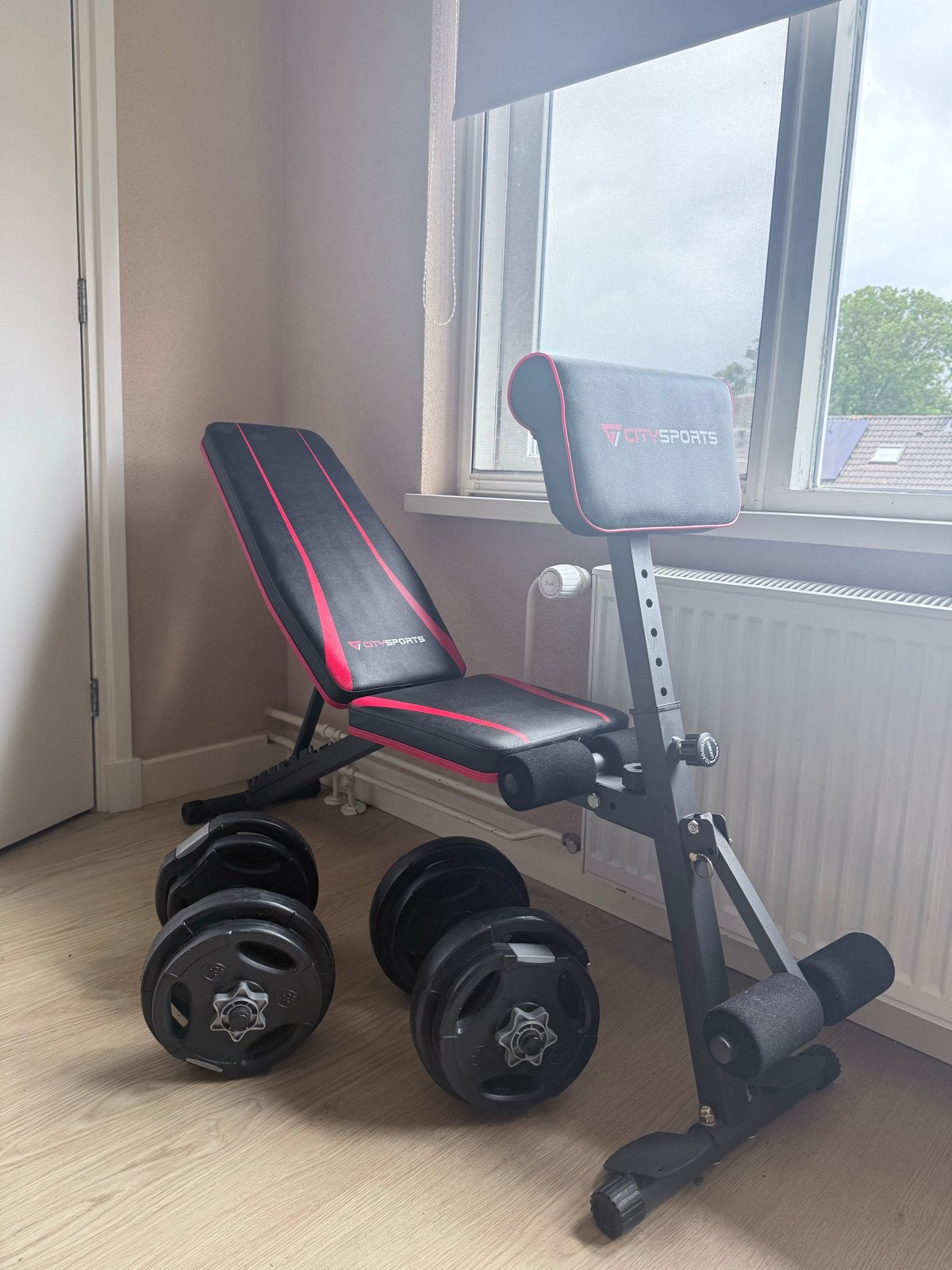 Sportbankje met 2x 10 kg dumbbells - Ideaal voor thuistraini, Ophalen, Gebruikt, Armen, Fitnessbank