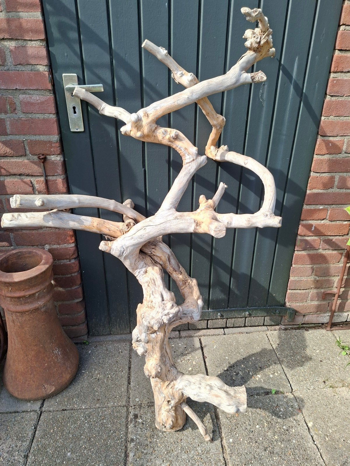 Prachtigge boomtak ophalen westervoort, Tuin en Terras, Ophalen, Zo goed als nieuw