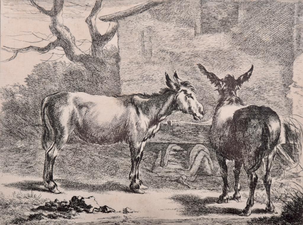 Cornelis Visscher naar Nicolaes Pietersz. Berchem, Ets, 27 cm, Origineel, Landschap