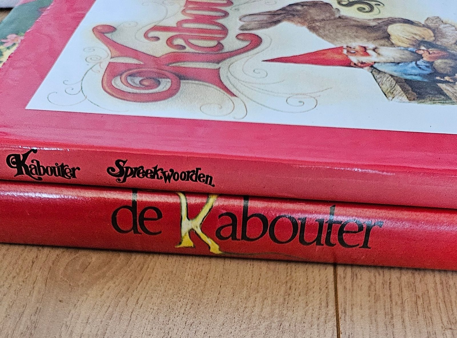 Het Leven en Werken van de Kabouter + kabouterspreekwoorden, Ophalen of Verzenden, Zo goed als nieuw, Rien Poortvliet
