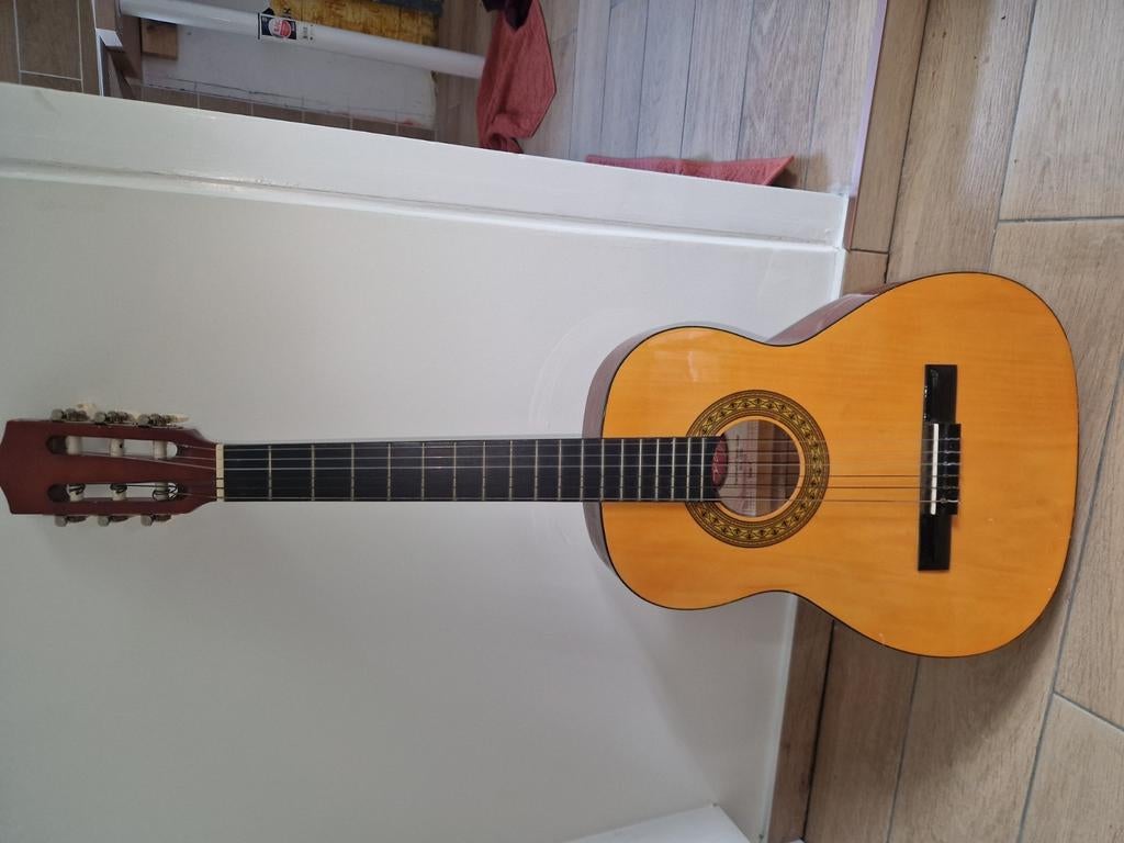 stagg, Muziek en Instrumenten, Ophalen of Verzenden, Gebruikt, Klassieke of Spaanse gitaar
