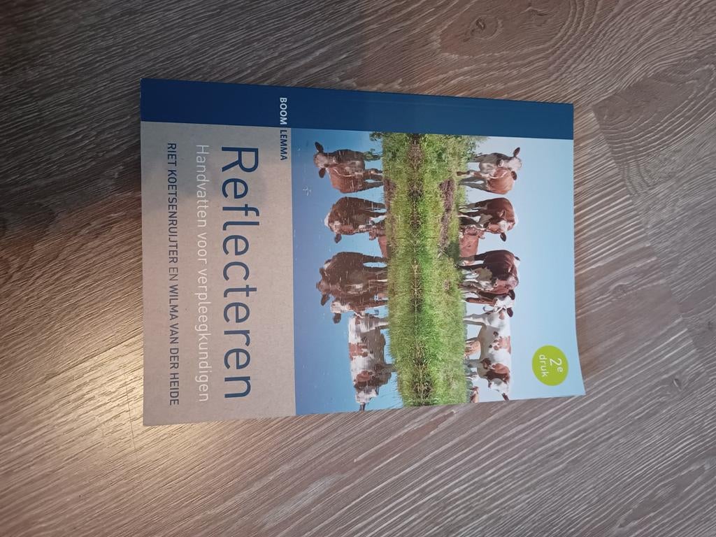 Wilma van der Heide - Reflecteren verpleegkundigen, Boeken, Wetenschap, Zo goed als nieuw, Sociale wetenschap, Ophalen of Verzenden