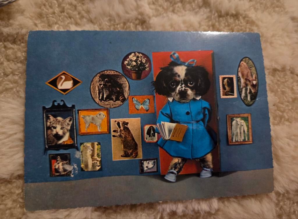 Aangekleed hondje in het museum, Verzenden, 1960 tot 1980, Gelopen, Hond of Kat
