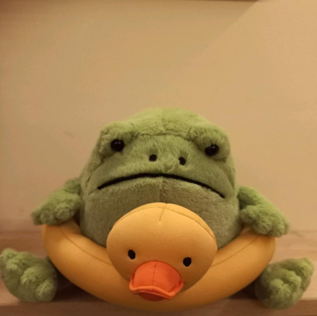 Jellycat Ricky rain frog, Kinderen en Baby's, Speelgoed | Knuffels en Pluche, Nieuw, Kikker, Ophalen of Verzenden