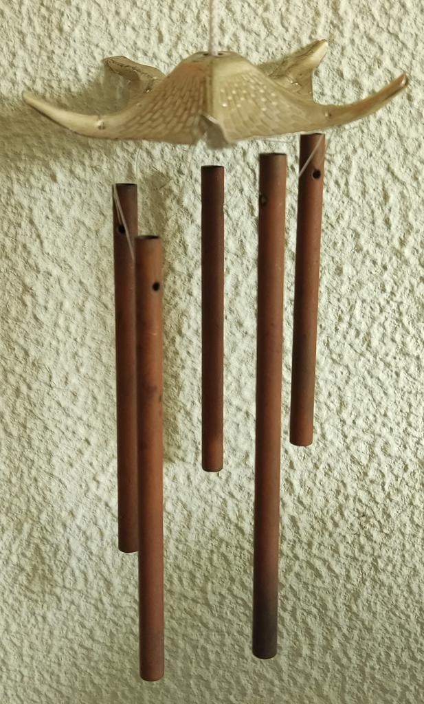 Gong, Muziek en Instrumenten, Percussie, Ophalen of Verzenden, Gebruikt, Overige soorten