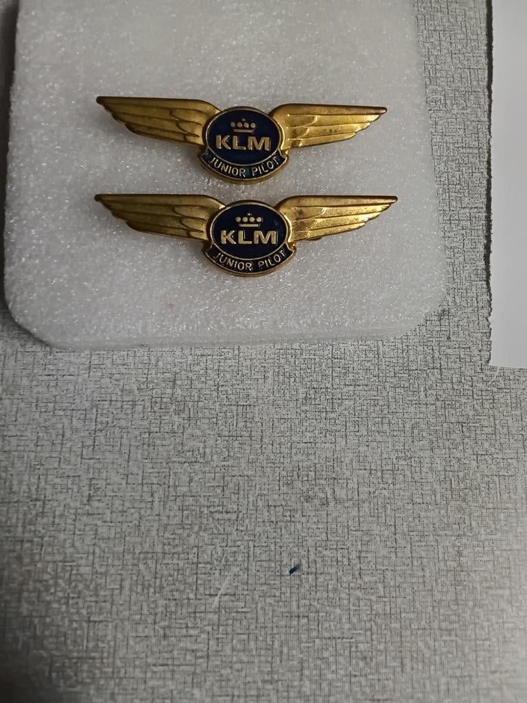 2x metalen vergulde speldjes van " KLM "Junior Pilot, Ophalen of Verzenden, Gebruikt, Merk