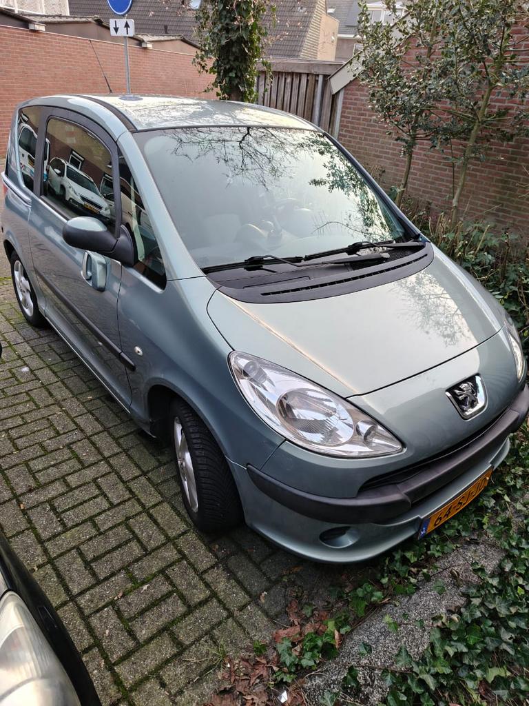 Peugeot 1007 1.4 2006 Grijs, 1360 cc, 4 cilinders, 4 stoelen, 49 €/maand