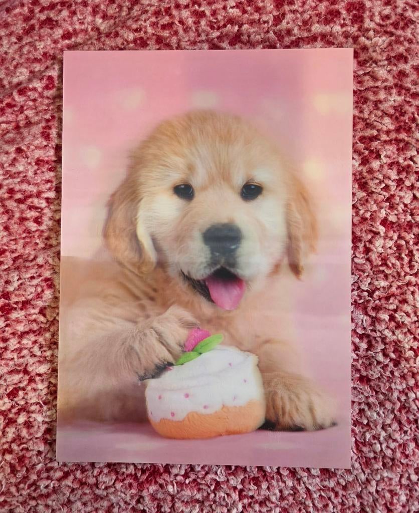 Muurdecoratie 3D hond met cake, Minder dan 50 cm, Gebruikt, Overige typen, Ophalen of Verzenden