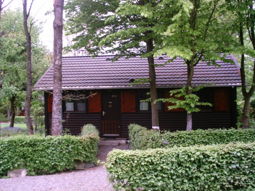 Rustieke chalet bij la roche alle comfort, Vakantie, 2 slaapkamers, Recreatiepark, In bos, Chalet, Bungalow of Caravan