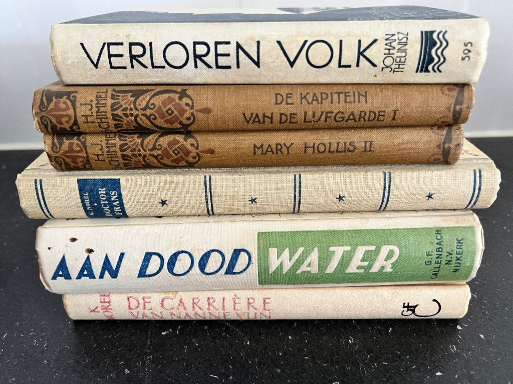 stapel boeken van vergeten schrijvers, Boeken, Ophalen of Verzenden, Gelezen, Verschillende onderwerpen