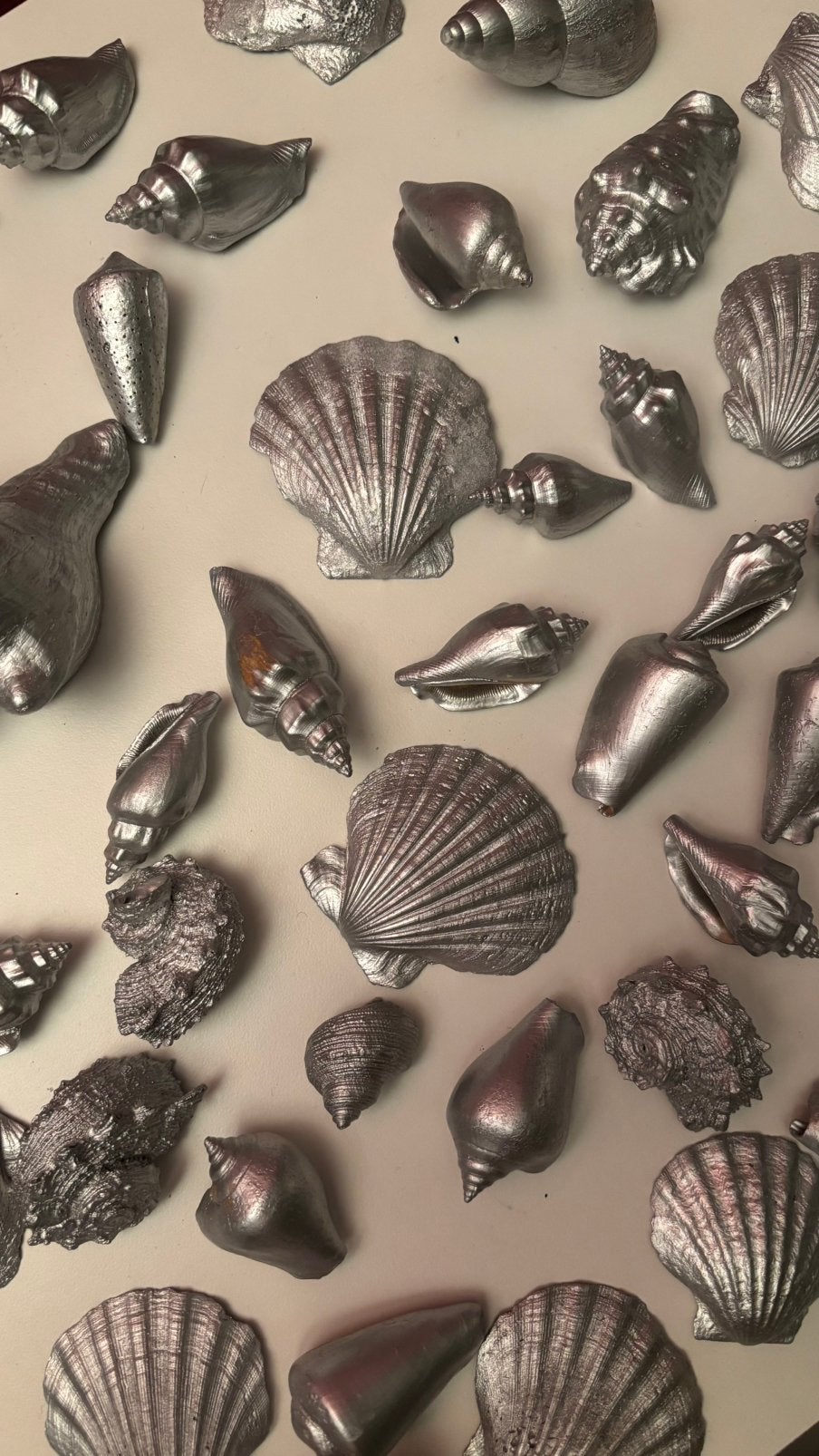 Grote decoratieve set echte zilverkleurige schelpen 50 stks, Ophalen, Zo goed als nieuw, Zilver