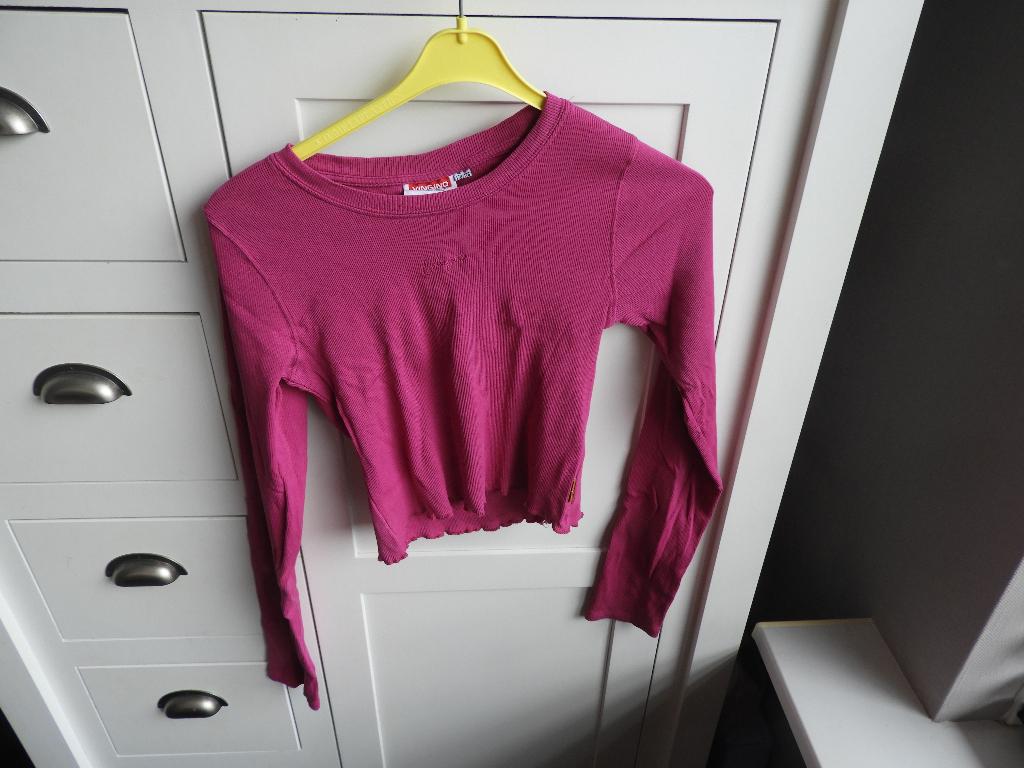 Meisjes longsleeve shirt. Maat 170, Kinderen en Baby's, Kinderkleding | Maat 170, Meisje, Ophalen of Verzenden, Zo goed als nieuw
