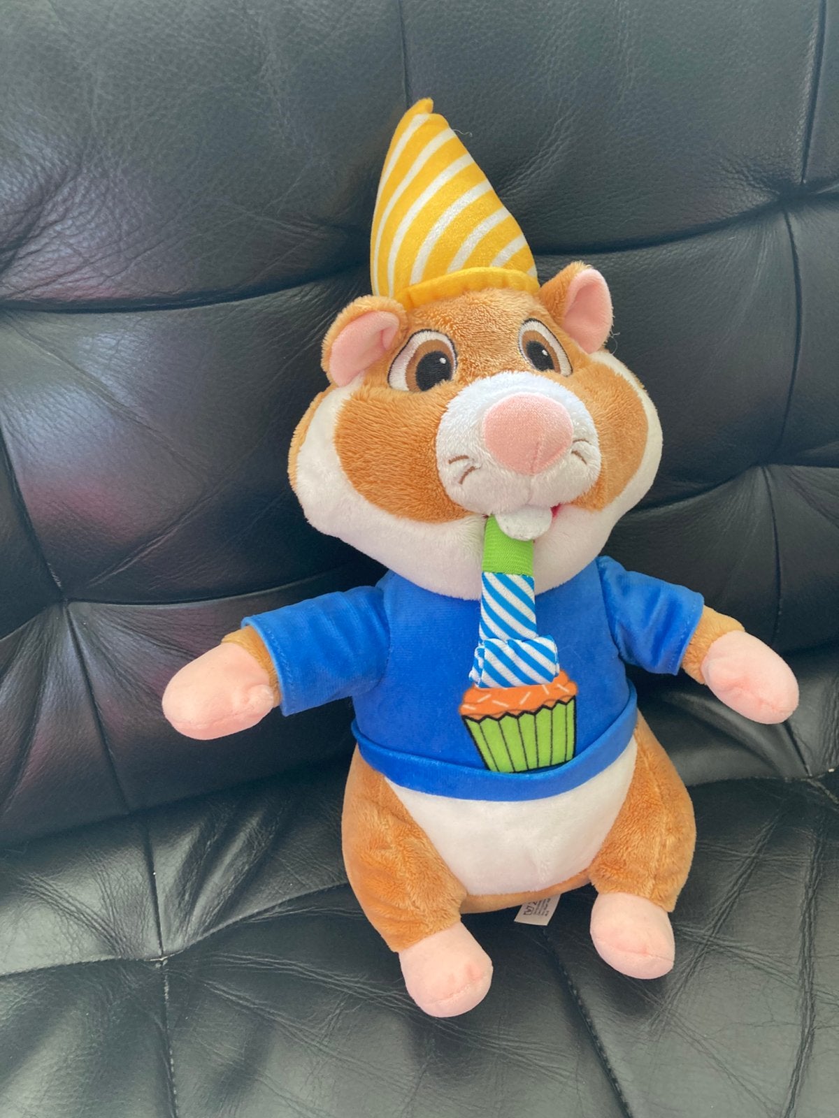 Ah hamster verjaardag, Ophalen of Verzenden, Zo goed als nieuw, Overige typen