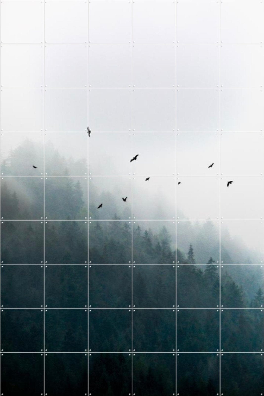 IXXI Foggy Morning 180x120, Ophalen of Verzenden, Zo goed als nieuw, 120 cm, 180 cm