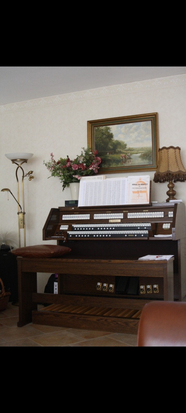 Orgel Domus 1232 donker eiken, Ophalen, Gebruikt, 2 klavieren, Orgel