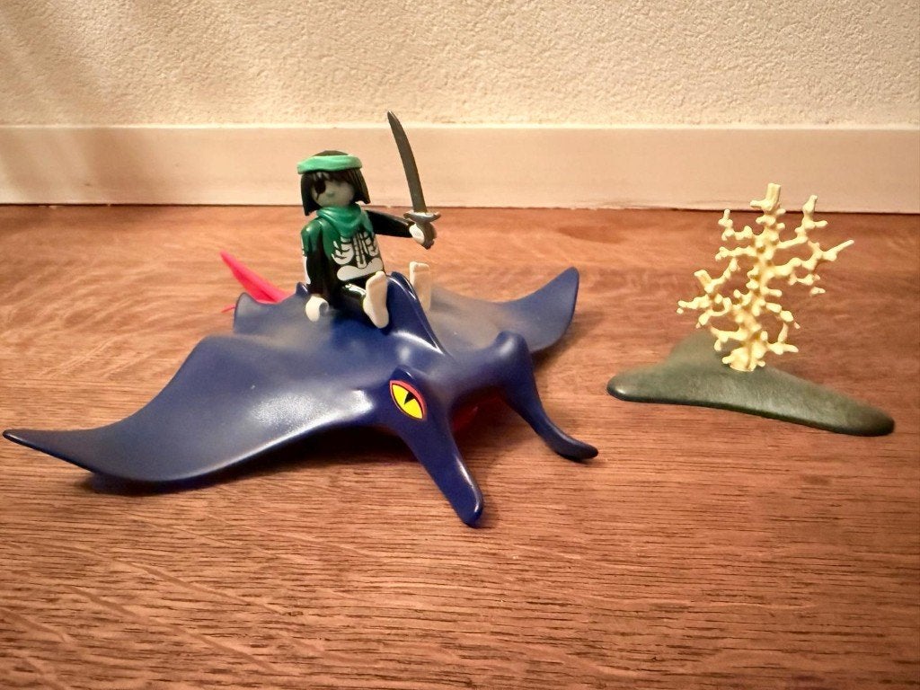 Playmobil Piraat op vis, Complete set, Ophalen of Verzenden, Zo goed als nieuw, Figuren