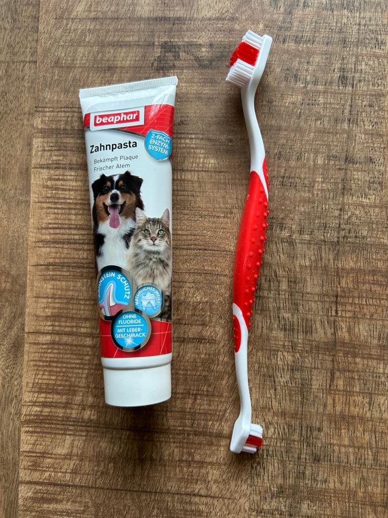 Tandenborstel en tandpasta kat, Ophalen of Verzenden, Nieuw