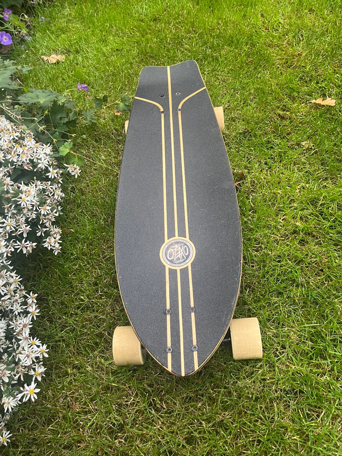 Oxelo Longboard, Sport en Fitness, Ophalen, Zo goed als nieuw, Longboard