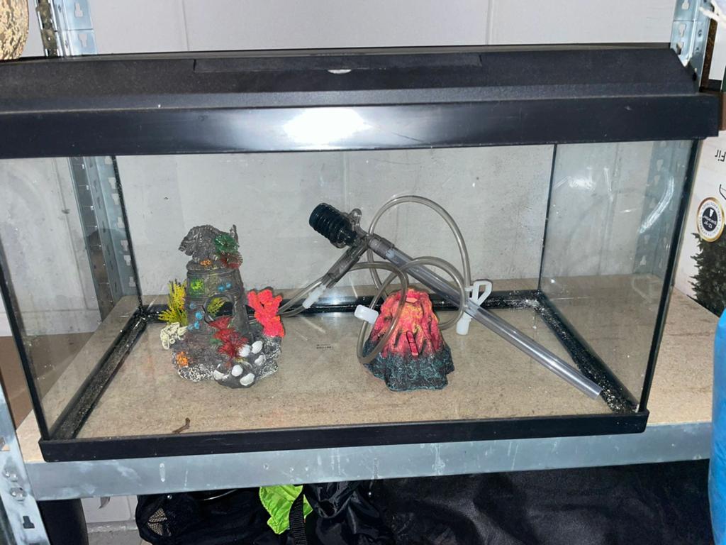 JUWEL Aquarium 60 liter zwart, Ophalen, Zo goed als nieuw, Juwel, Inclusief deksel