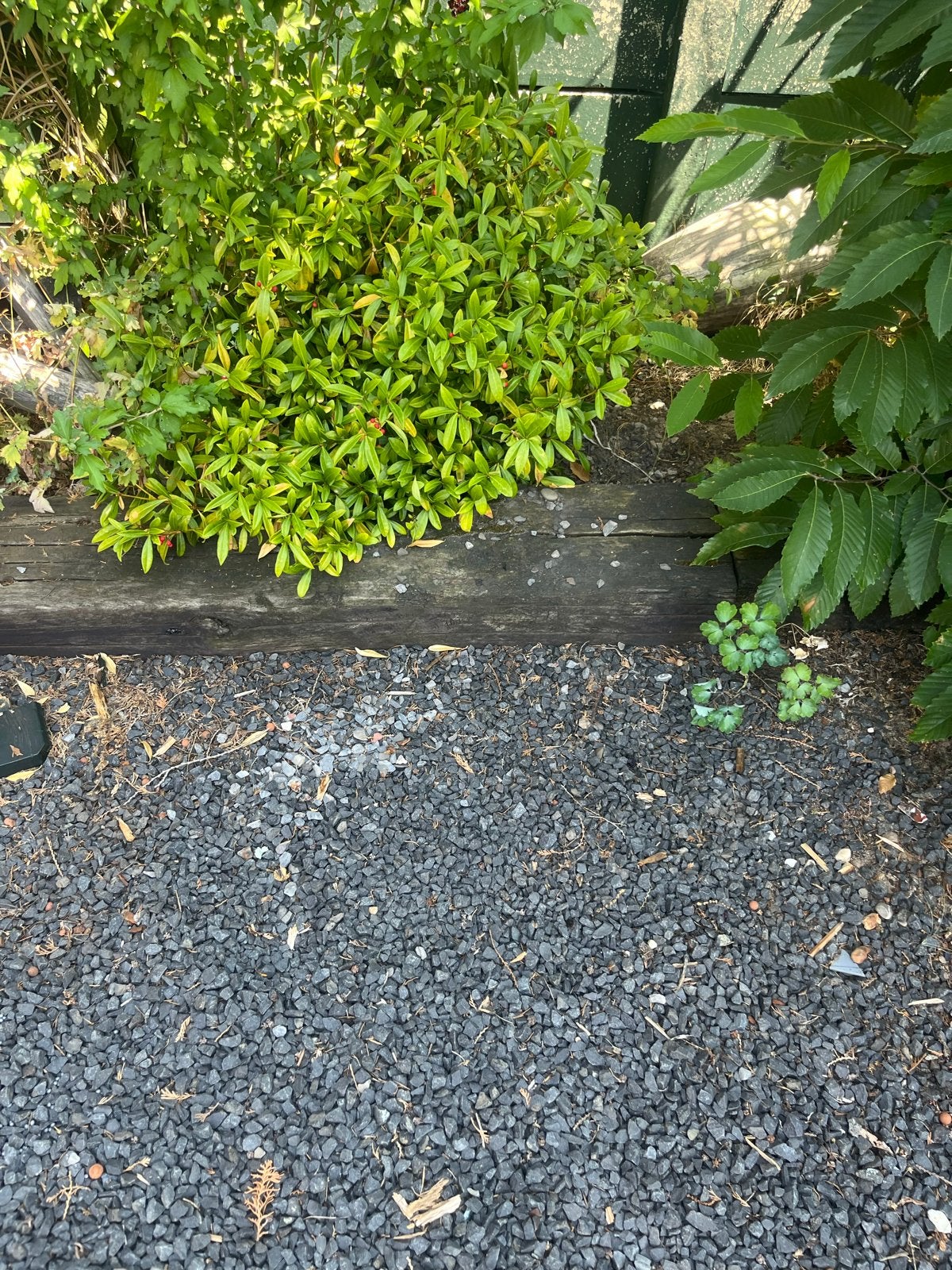 Gratis gebruikte bielzen (9 stuks, 260cm) voor tuin/bordes, Tuin en Terras, Bielzen en Borders, Ophalen, Gebruikt, Biels, 200 cm of meer