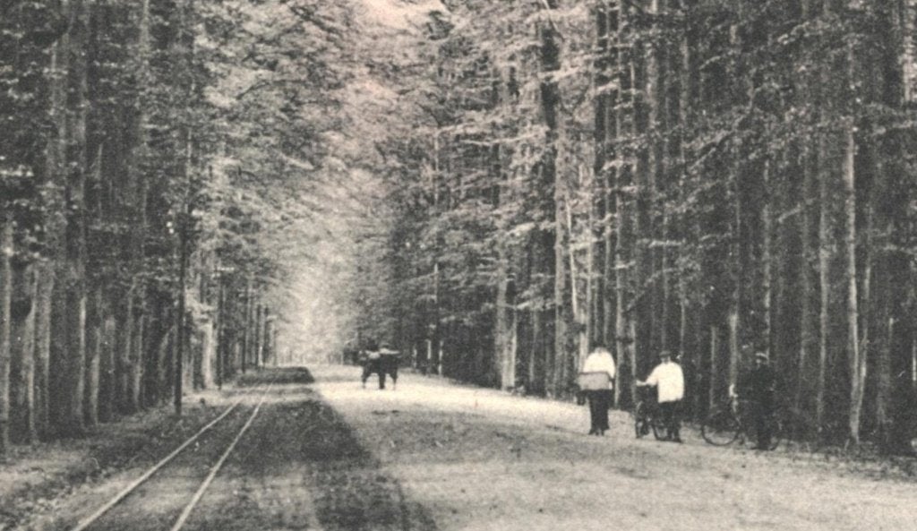 988139 De Steeg Ellecom Gld Middachterallee Nette oude kaart, Ophalen of Verzenden, 1920 tot 1940, Ongelopen, Gelderland
