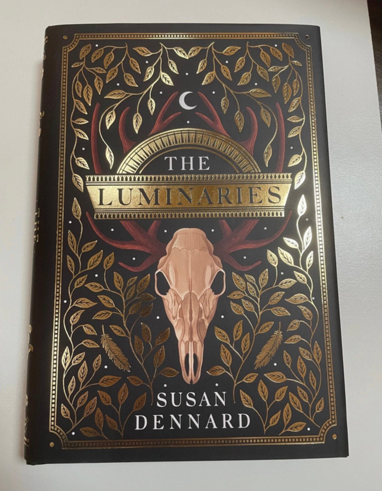 Boek the luminaries illumicrate, Ophalen of Verzenden, Nieuw
