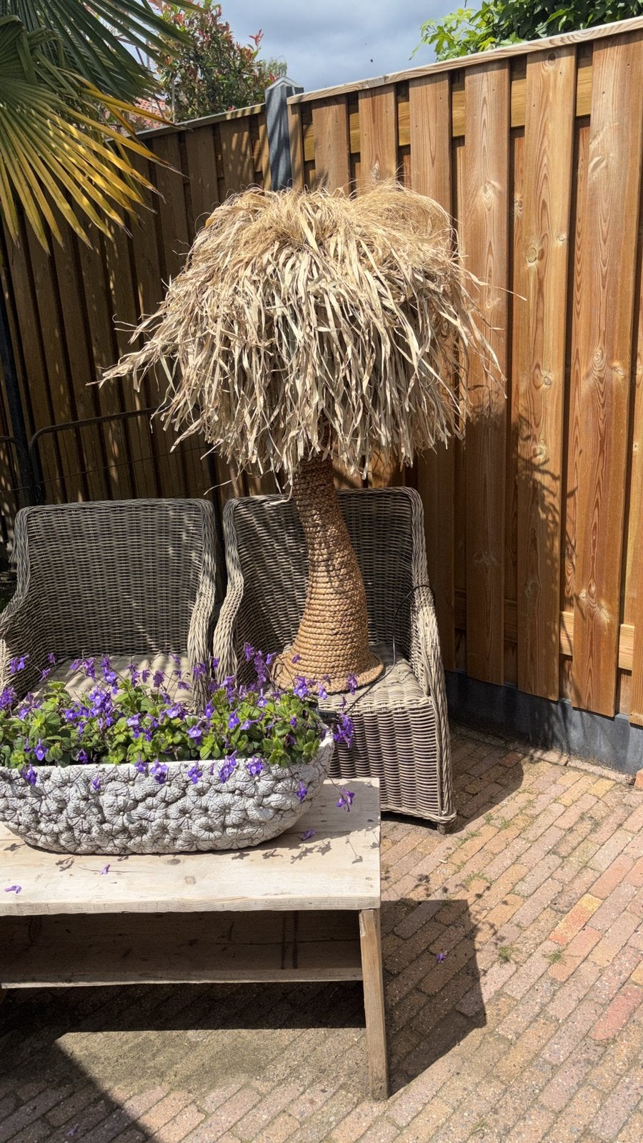 Palmboom lamp van riet, Volle zon, Bloeit niet, Ophalen of Verzenden, Minder dan 100 cm