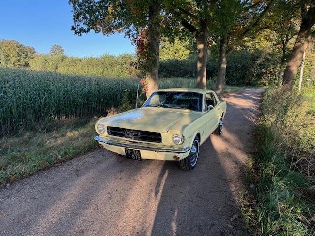 Ford USA Mustang Coupe 289cui V8 Automaat 1965, foto 9