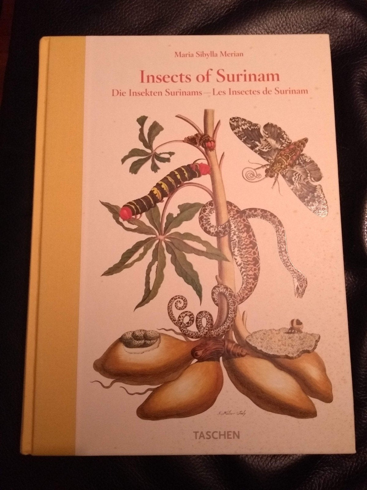 Insects of Surinam, Maria Sibylla Merian, Ophalen of Verzenden, Zo goed als nieuw, Natuur algemeen, Maria Sibylla Merian