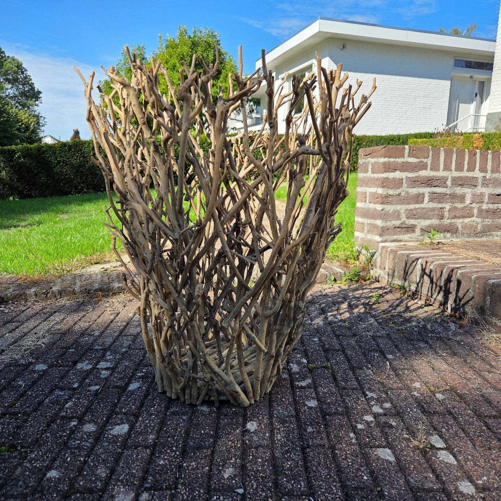 Decoratieve mand voor windlicht van takken, Huis en Inrichting, Ophalen, Gebruikt, Landelijk, Natuurlijk materiaal