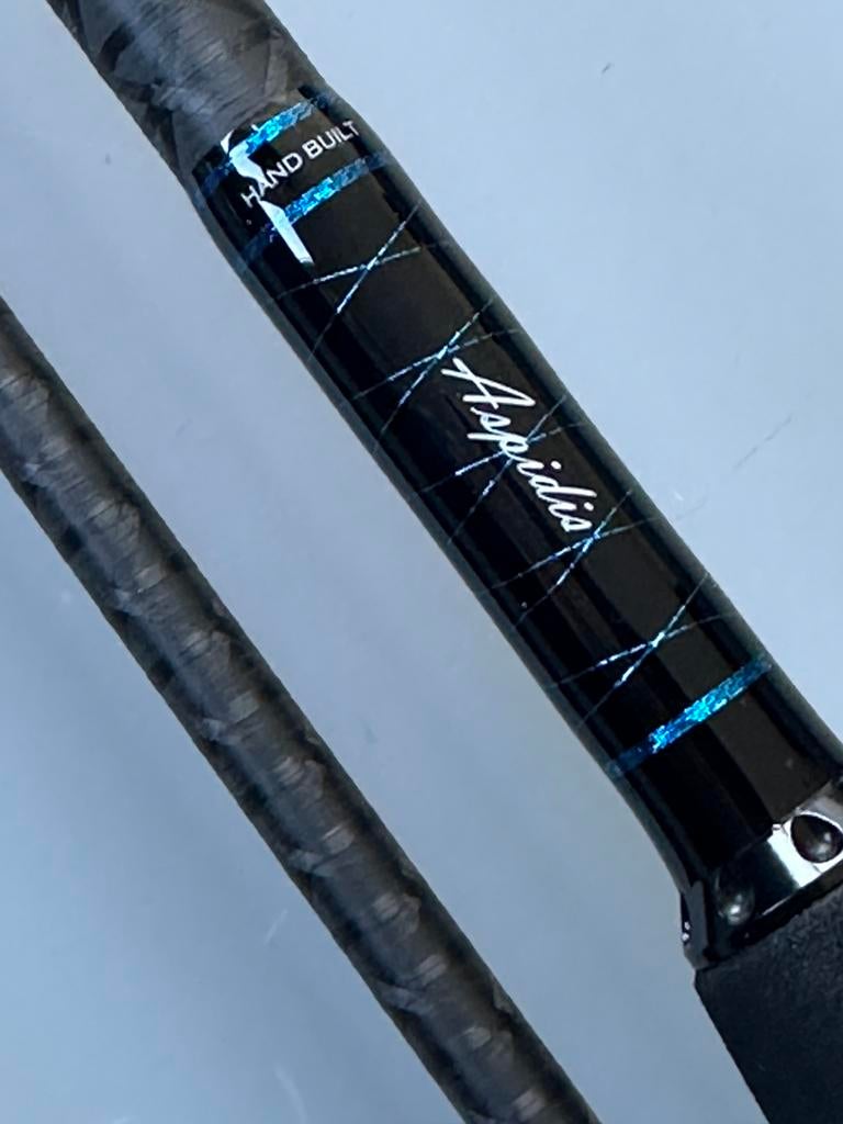 Aspidis 2,70 m / 8-40 gr handgebouwde zeebaarshengel, Watersport en Boten, Hengelsport | Zeevissen, Ophalen of Verzenden, Nieuw