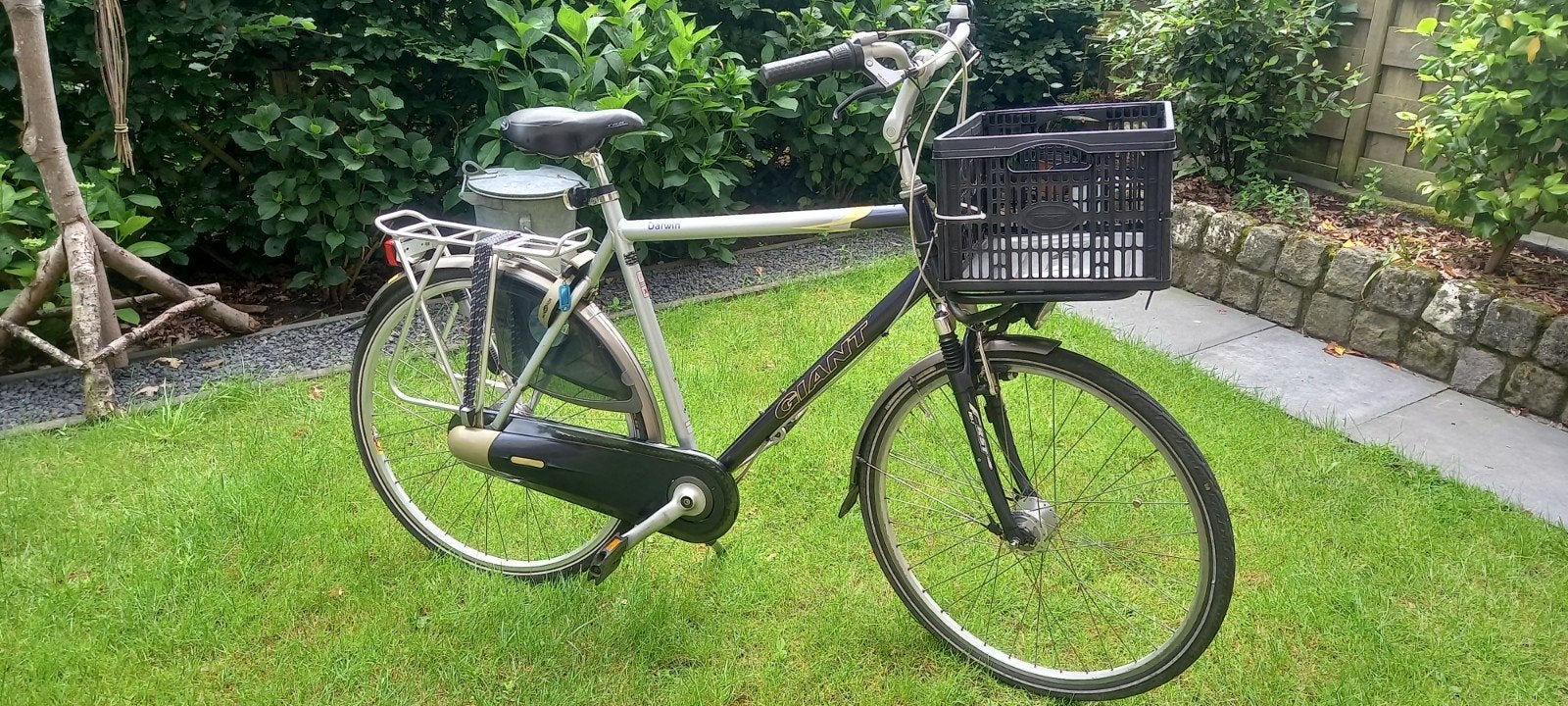 Gigant Darwin xl 62, Ophalen of Verzenden, Gebruikt, Overige merken