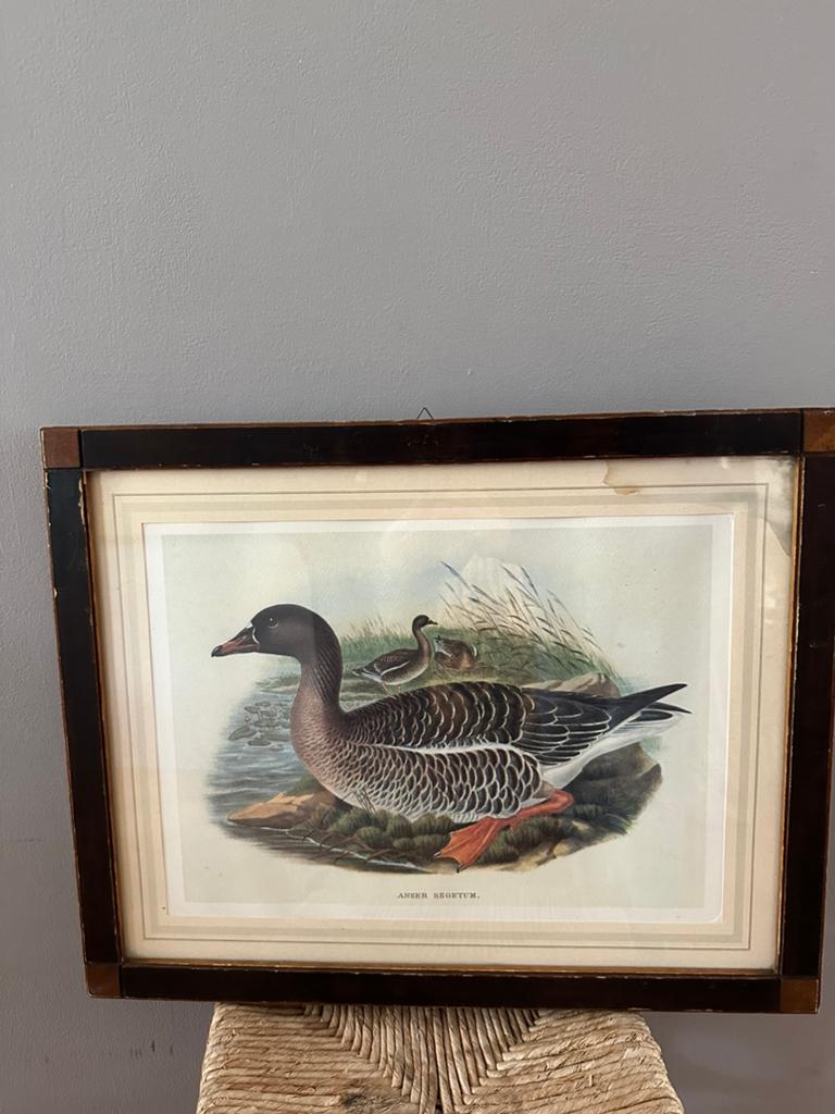 Brocante landelijke afbeelding gans schilderij, Ophalen of Verzenden