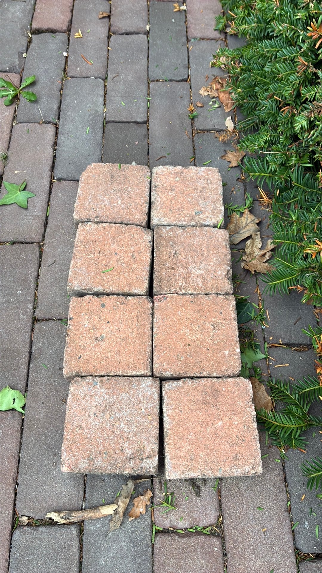Gratis Klinker, cobbelstone, Ophalen, Zo goed als nieuw, Beton, Klinkers
